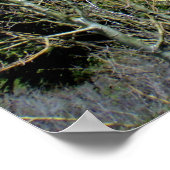 Idaho Mountain Grandeur Poster (Hoek)