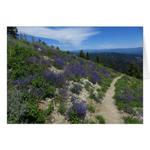 Idaho Mountain Hiking Trail