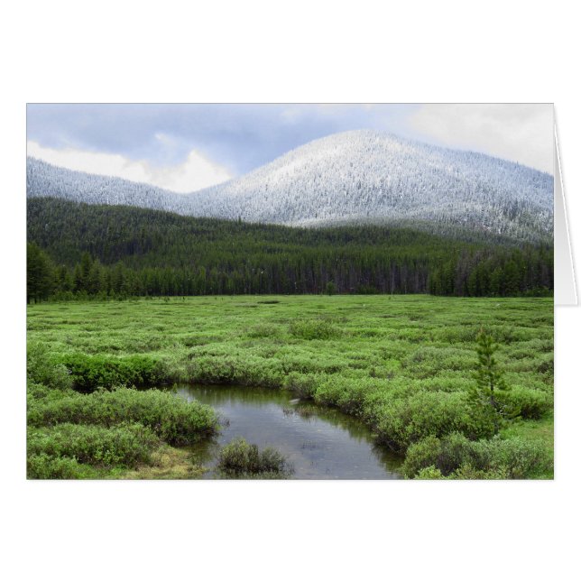 Idaho Mountain Snowfall (Voorkant Horizontaal)