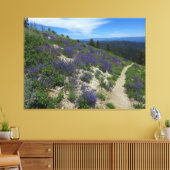 Idaho Mountain Wandelpad Canvas Afdruk (Insitu (Woonkamer))