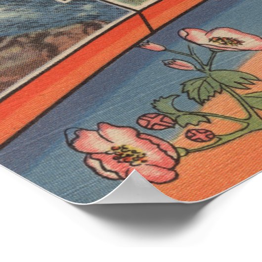 Idaho (Overheidskapitaal/Bloem) - Grote brief Poster (Hoek)