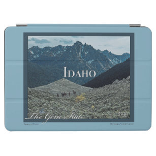 Idaho Poster Kunst iPad Air Cover