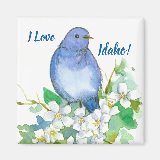 Idaho Souvenir Mountain Bluebird Syringa Magneet (Voorkant)