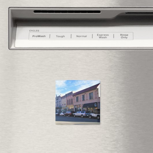 Idaho Springs, Colorado Magneet (Insitu (Vaatwasser))