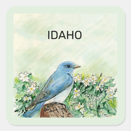 Idaho-staatvogel en -bloem vierkante sticker (Voorkant)