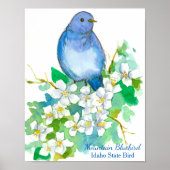 Idaho State Bird Mountain Bluebird Poster (Voorkant)