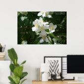 Idaho State Flower: Syringa Poster (Thuiskantoor)