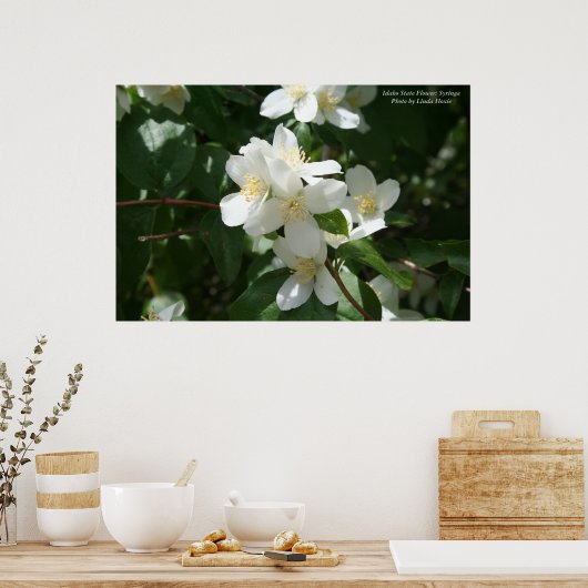 Idaho State Flower: Syringa Poster (Keuken)