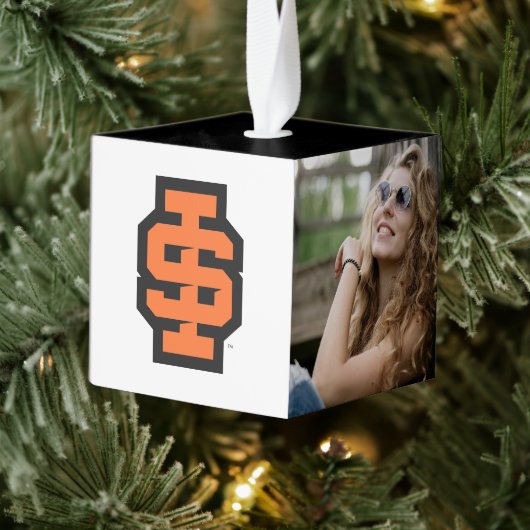 Idaho State University Bold Bengaals Logo Decoratie (Boom)