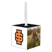 Idaho State University Bold Bengaals Logo Decoratie (Achter hoekig)