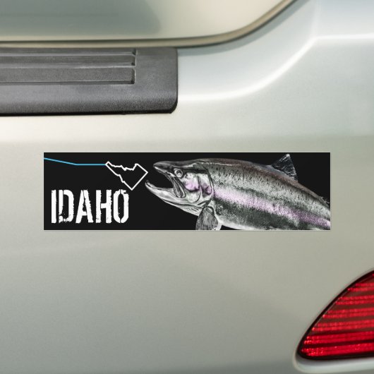 IDAHO STEELHEAD - HIER FISHY FISHY - STRIKANT IDAH BUMPERSTICKER (Op auto)