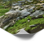 Idaho Thousand Springs-Herfsten afdrukken Poster (Hoek)