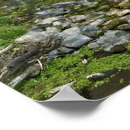 Idaho Thousand Springs-Herfsten afdrukken Poster (Hoek)