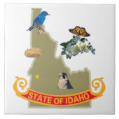Idaho Tile Tegeltje (Voorkant)