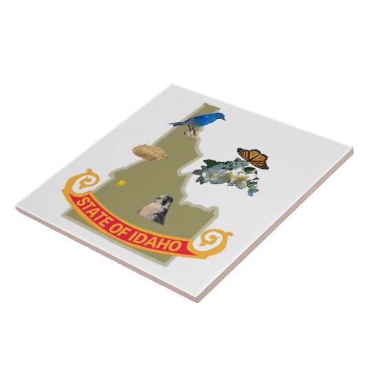Idaho Tile Tegeltje (Zijkant)