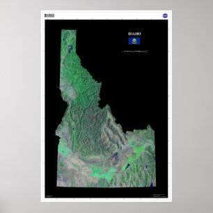 Idaho van Space Poster