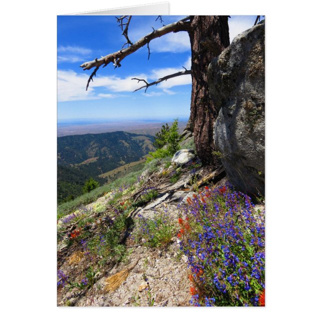 Idaho Wild Flowers (Voorkant)