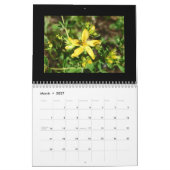 Idaho Wildflower Calendar Kalender (Mar 2027)