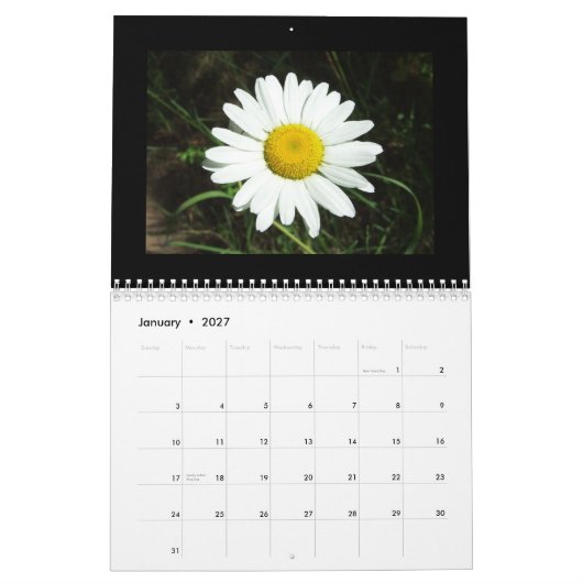 Idaho Wildflower Calendar Kalender (Jan 2027)