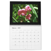 Idaho Wildflower Calendar Kalender (Feb 2027)