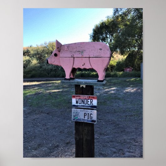Idaho Wonder Pig, Funny Poster (Voorkant)