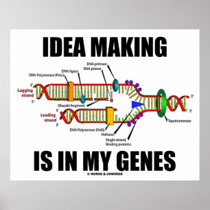 Ideaal maken is in mijn genen (DNA-replicatie) Poster