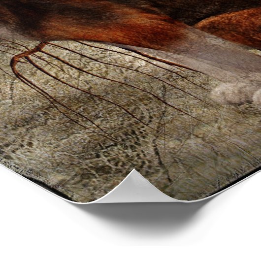 Ideaal voor kalm poster (Hoek)