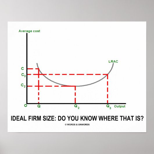 Ideal Firm Size: Weet je waar dat is? Poster (Voorkant)