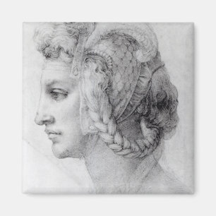 Ideal Head of a Woman, c.1525-28 Magneet