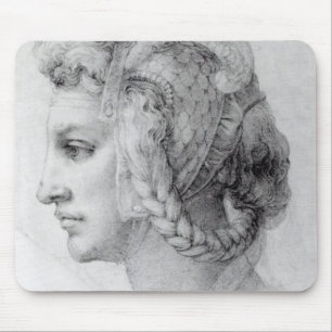 Ideal Head of a Woman, c.1525-28 Muismat