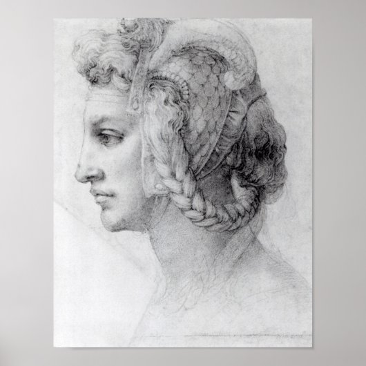 Ideal Head of a Woman, c.1525-28 Poster (Voorkant)
