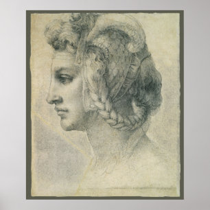 Ideale kop van een vrouw door Michelangelo Poster