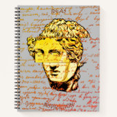 Idee-verzamelen Notitieboek, historische stijl Notitieboek (Voorkant)