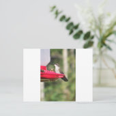 ideeën voor cadeauideeën voor vogels briefkaart (Staand voorkant)