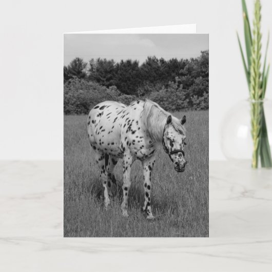 Idem Kaart (Voorkant)