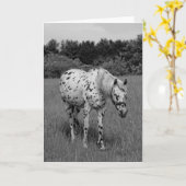 Idem Kaart (Gele Bloem)