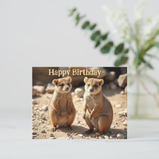 Identieke broers: Australische Quokka Twins, Briefkaart