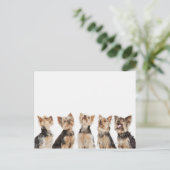 Identieke honden die samenzitten briefkaart (Staand voorkant)