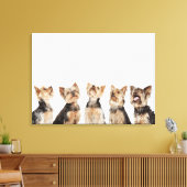Identieke honden die samenzitten canvas afdruk (Insitu (Woonkamer))