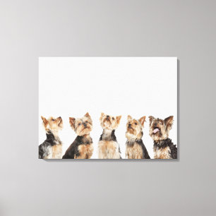 Identieke honden die samenzitten canvas afdruk