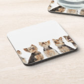 Identieke honden die samenzitten drankjes onderzetter (Linkerzijde)