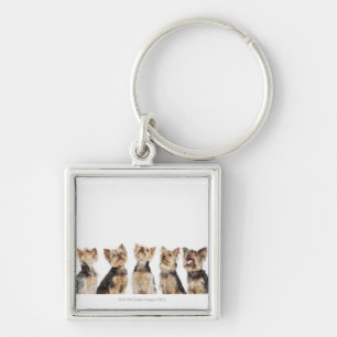 Identieke honden die samenzitten sleutelhanger