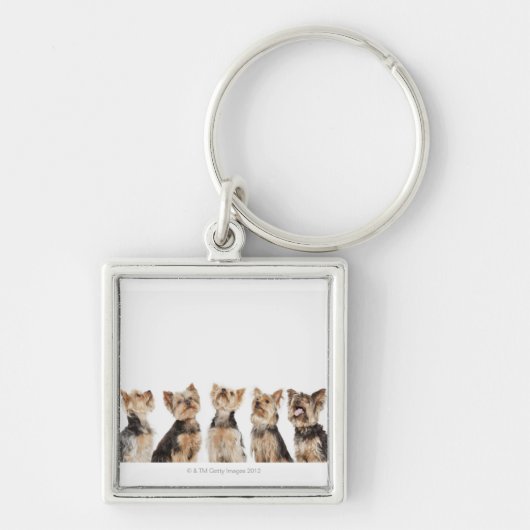 Identieke honden die samenzitten sleutelhanger (Voorkant)
