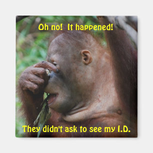 Identificatie Magneet