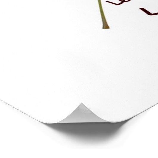 Identificeer het Poster van Poison Ivy (Hoek)