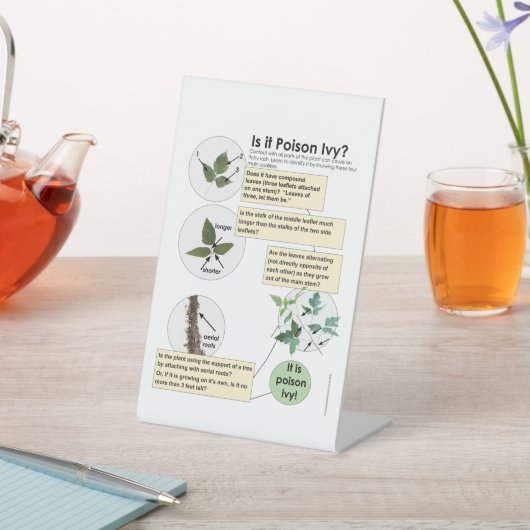 Identificeer Poison Ivy Planten Wandelen, kamperen Reclamebord Met Voetstuk (Insitu)
