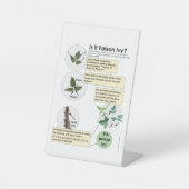 Identificeer Poison Ivy Planten Wandelen, kamperen Reclamebord Met Voetstuk (Voorkant)