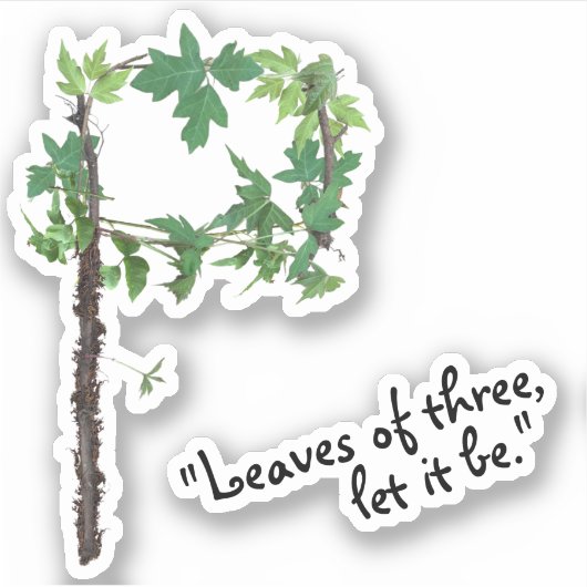 Identificeer Poison Ivy Vine - Bladeren van drie W Sticker (Voorkant)
