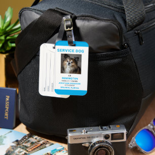 Identificeer uw hond eenvoudig als werkend bagagelabel