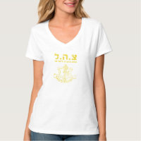 IDF Israel Defence Forces - Heilige Land Army Jewi